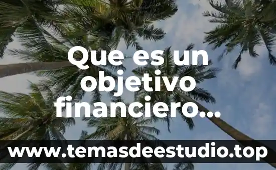 Que es un objetivo financiero basico