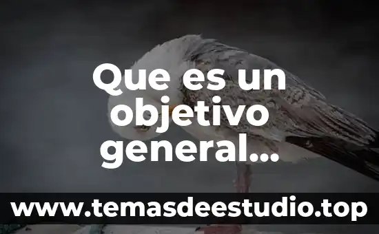 Que es mediocre concepto 4 Que es un objetivo general concepto