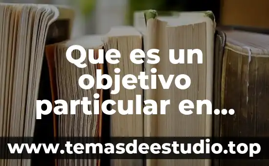 Que es el zero conditional estructura 6 Que es un objetivo particular en una tesis