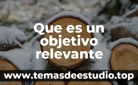 Que es un objetivo relevante