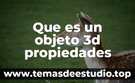 Que es un objeto 3d propiedades