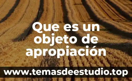 Qué es una figura y objeto 8 Que es un objeto de apropiación