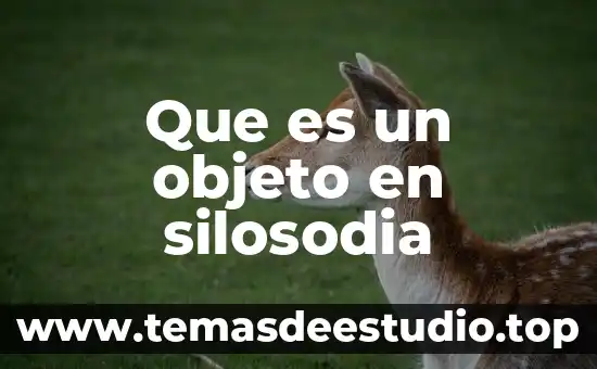 En informática qué es un objeto gráfico 4 Que es un objeto en silosodia