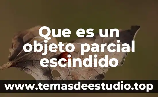Que es conocimiento parcial 6 Que es un objeto parcial escindido