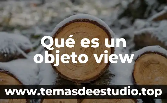 Aermod view que es 5 Qué es un objeto view