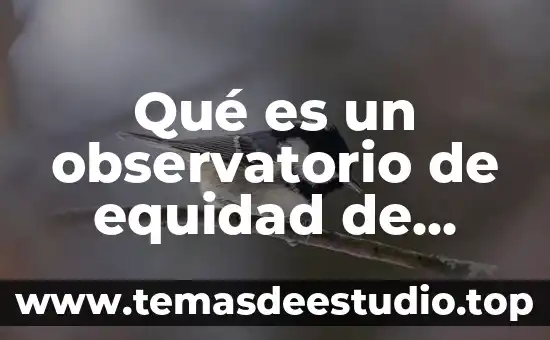 Qué es un observatorio de equidad de género