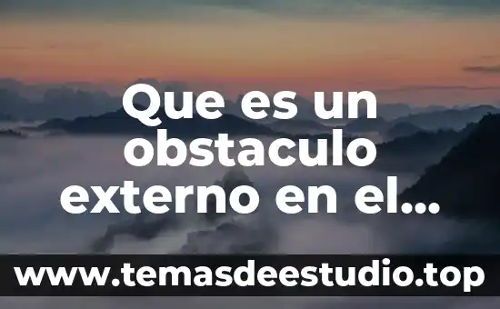 Qué es el número externo de una dirección 4 Que es un obstaculo externo en el ser humano
