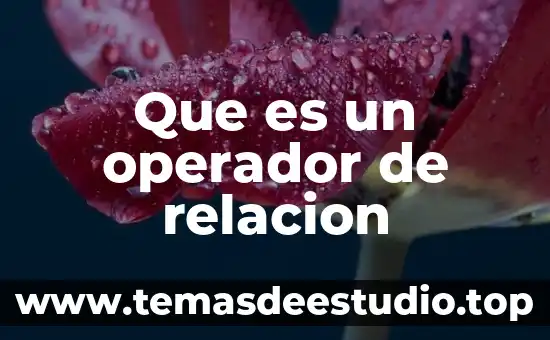Por que es una relacion reciproca en la fotosintesis 8 Que es un operador de relacion