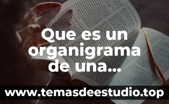 Que es imparticion de justicia segun autores 3 Que es un organigrama de una empresa segun autores