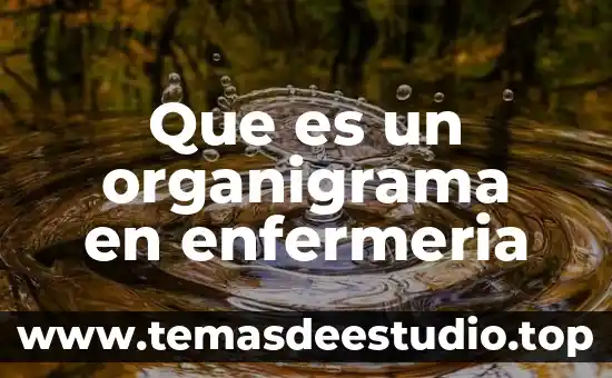 Que es hemoptisis en enfermeria 6 Que es un organigrama en enfermeria