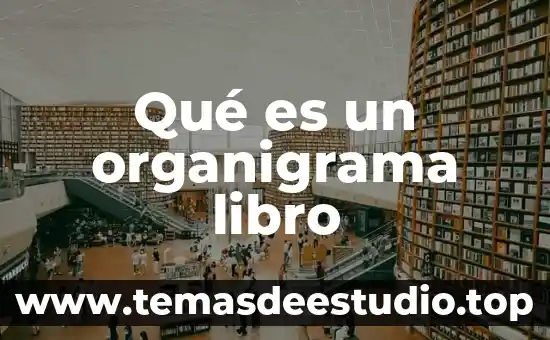 Qué es un organigrama libro