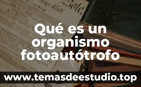 Que es lo que la cirrosis ase al organismo 7 Qué es un organismo fotoautótrofo
