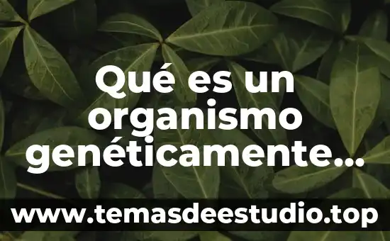 Qué es un organismo genéticamente modificado ejemplos