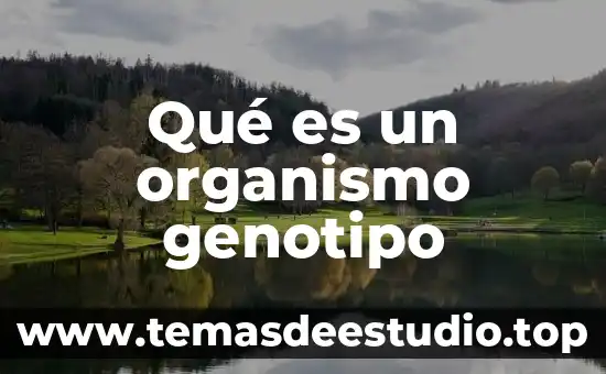 Qué es un organismo genotipo