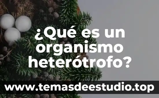 Que es lo que la cirrosis ase al organismo 4 ¿Qué es un organismo heterótrofo?