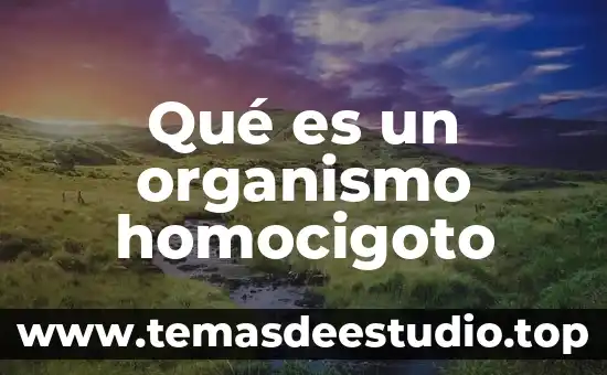 Qué es sanguinario significado 4 Qué es un organismo homocigoto