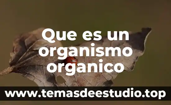 Que es el modelo organico o psicosociologico 4 Que es un organismo organico