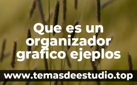 Que es un organizador de conocimiento 5 Que es un organizador grafico ejeplos