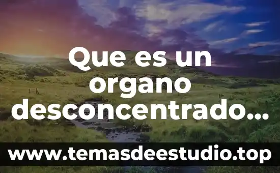 Que es patrimonio de la humanidad en mexico 4 Que es un organo desconcentrado en mexico