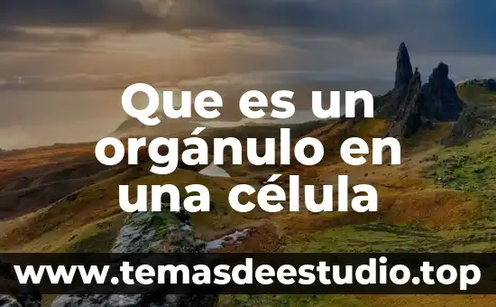 Qué es la célula del cartílago 6 Que es un orgánulo en una célula