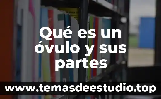 Que es software lenguaje de programacion 6 Qué es un óvulo y sus partes