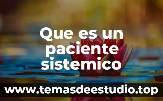Que es la materia el pensamiento sistemico 6 Que es un paciente sistemico