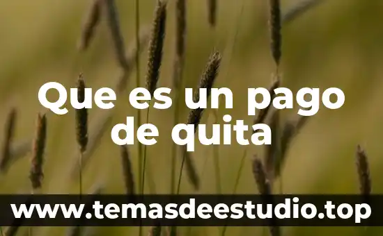 Que es un pago de quita