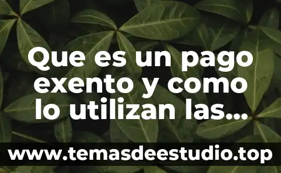 Que es un pago exento y como lo utilizan las empresas para no pagar impuestos