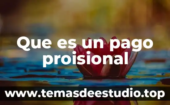Que es un pago proisional