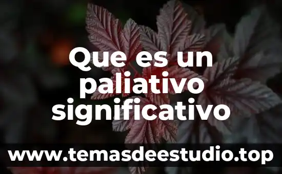 Que es un paliativo significativo