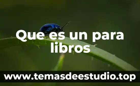 Que es la respuesta libros 6 Que es un para libros