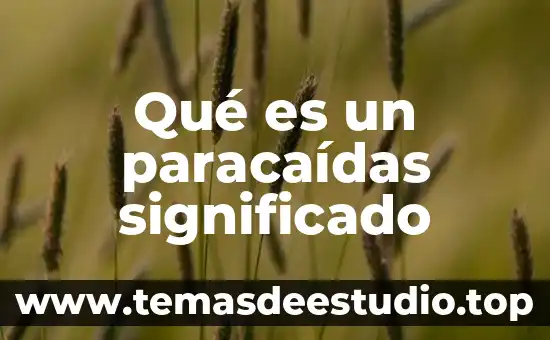 Fisiología que es significado y concepto 7 Qué es un paracaídas significado
