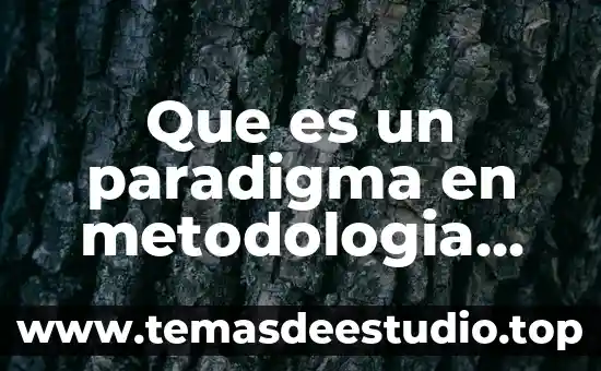 Que es la planificación en metodologia dela investigacion 5 Que es un paradigma en metodologia dela investigacion