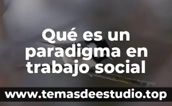 Que es una plataforma estandar trabajo seguro 6 Qué es un paradigma en trabajo social