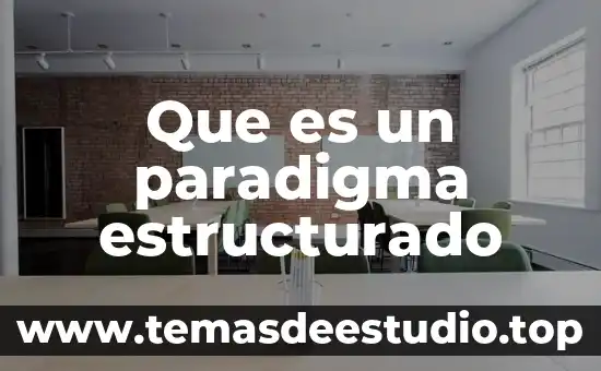 Diseñador de cableado estructurado que es 4 Que es un paradigma estructurado
