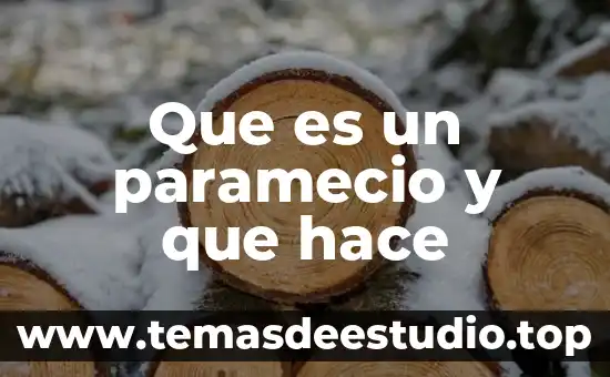 Planta automotriz nissan en aguascalientes que es lo que hace 8 Que es un paramecio y que hace