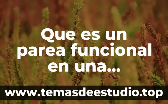 Que es distribucion de planta en una empresa 8 Que es un parea funcional en una empresa