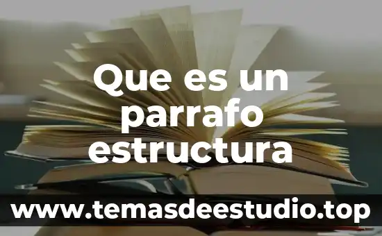 Que es estructura social dinamica 4 Que es un parrafo estructura