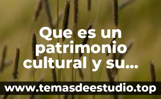 Que es un patrimonio cultural y su inportasian