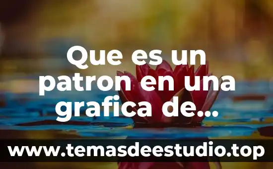 Que es un ente en el derecho 7 Que es un patron en una grafica de control