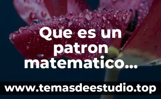 Qué es permutación en concepto matemático 3 Que es un patron matematico yahoo