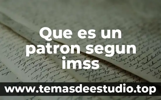 Que es un patron segun imss