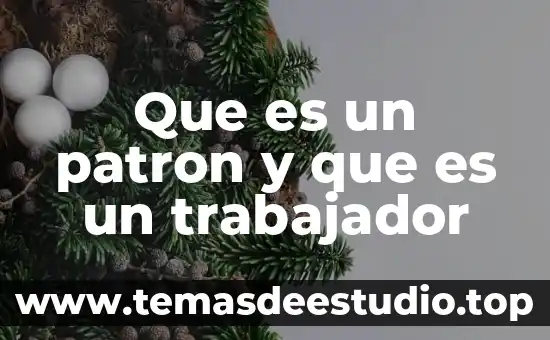 Que es un patron y que es un trabajador