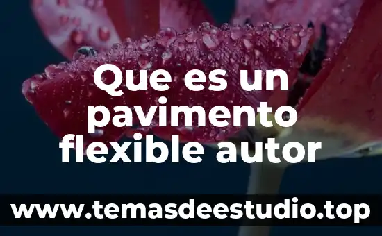 Que es disco flexible significado 4 Que es un pavimento flexible autor