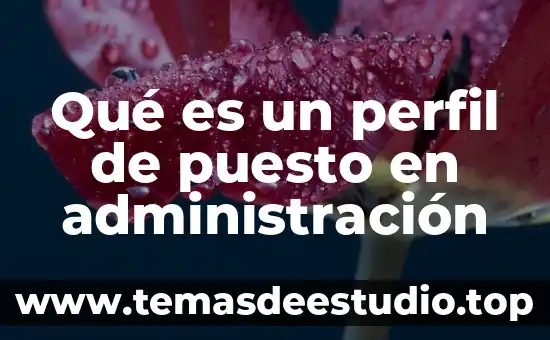 Que es perfil latino internacional 3 Qué es un perfil de puesto en administración