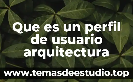Que es perfil latino internacional 6 Que es un perfil de usuario arquitectura