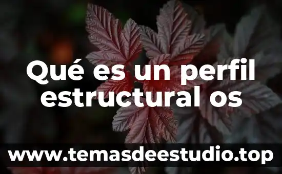 Qué es un perfil estructural os