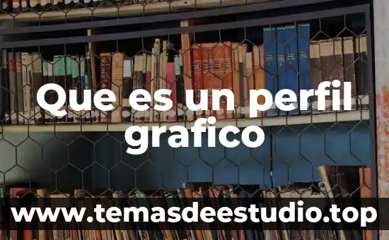 Que es un diseñador gráfico del arte 7 Que es un perfil grafico