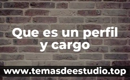 Que es perfil latino internacional 7 Que es un perfil y cargo