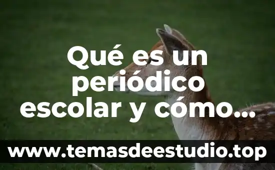Qué es un periódico escolar y cómo se elabora